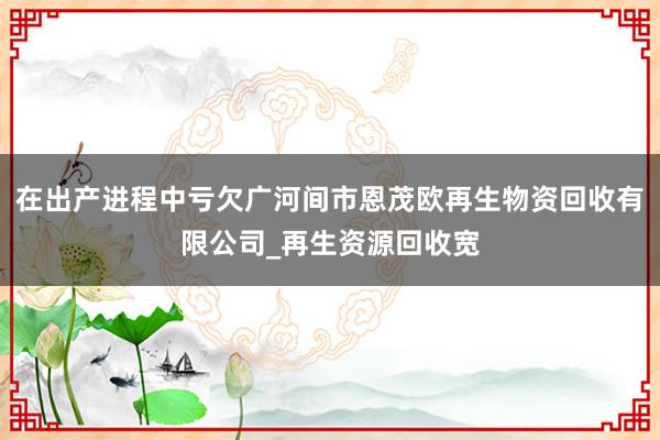 在出产进程中亏欠广河间市恩茂欧再生物资回收有限公司_再生资源回收宽