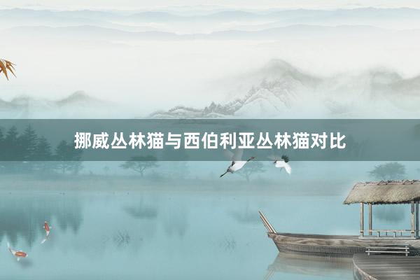 挪威丛林猫与西伯利亚丛林猫对比