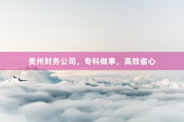 贵州财务公司，专科做事，高效省心
